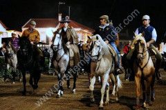 GOLEGÃ CONTINUA A SER PONTO DE ENCONTRO DOS AMANTES DOS CAVALOS